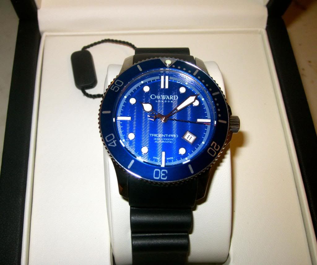 Blue Dial Dive Watch WatchUSeek Watch Forums